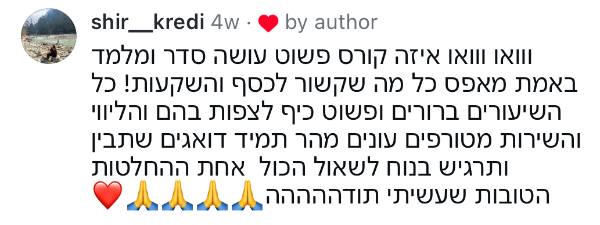 פידבק