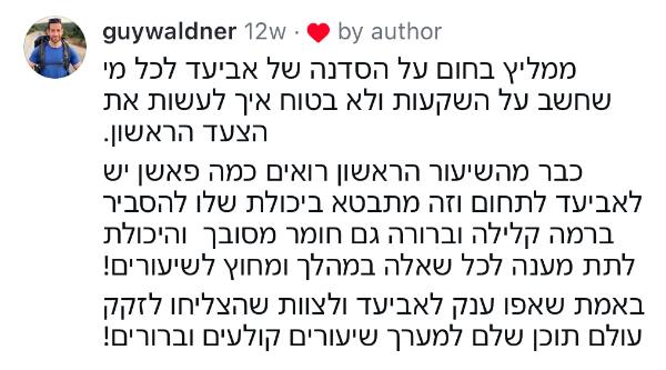 פידבק